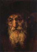 REMBRANDT Harmenszoon van Rijn Portrait of an Old Jew oil painting artist